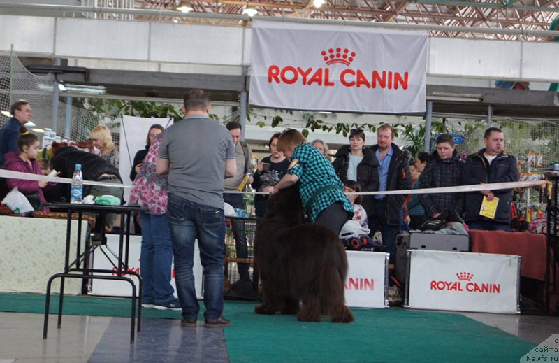 Фотография № 234725