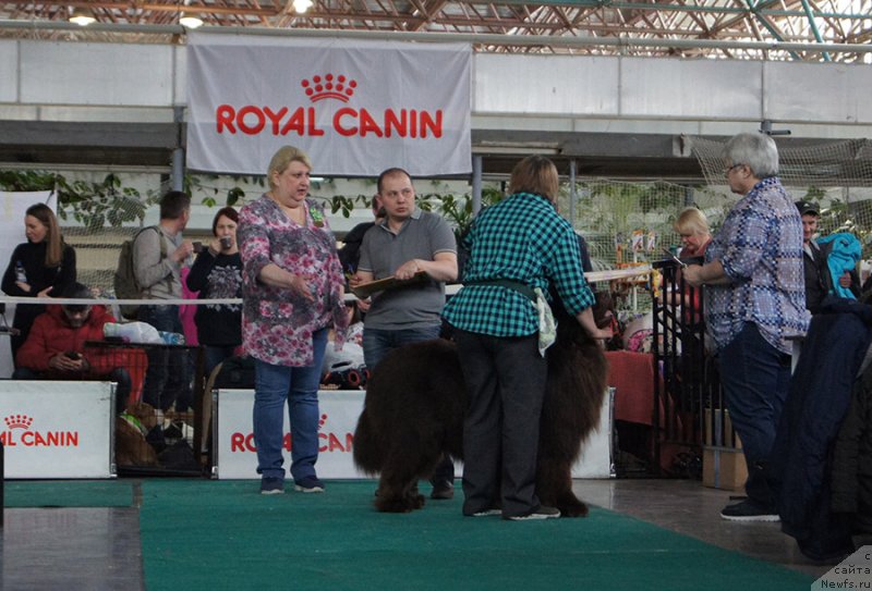 Фотография № 234727