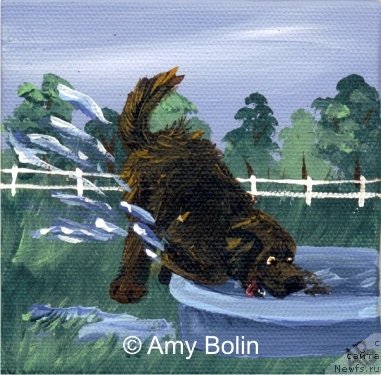 Фотография № 234733