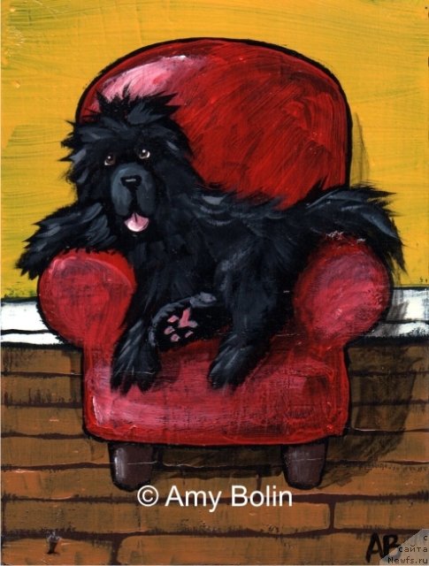 Фотография № 234737