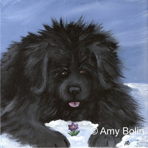 Фотография № 234741