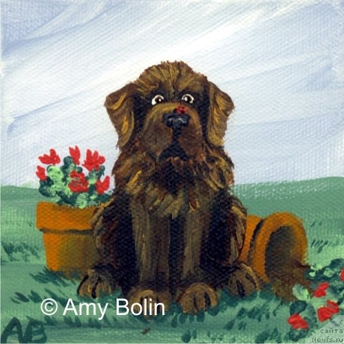 Фотография № 234743