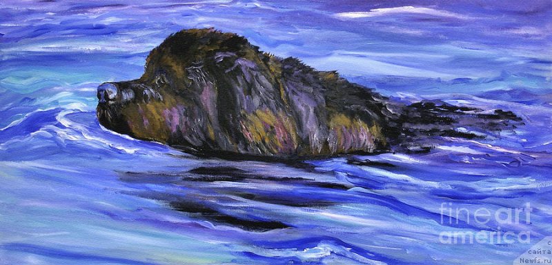 Фотография № 234748