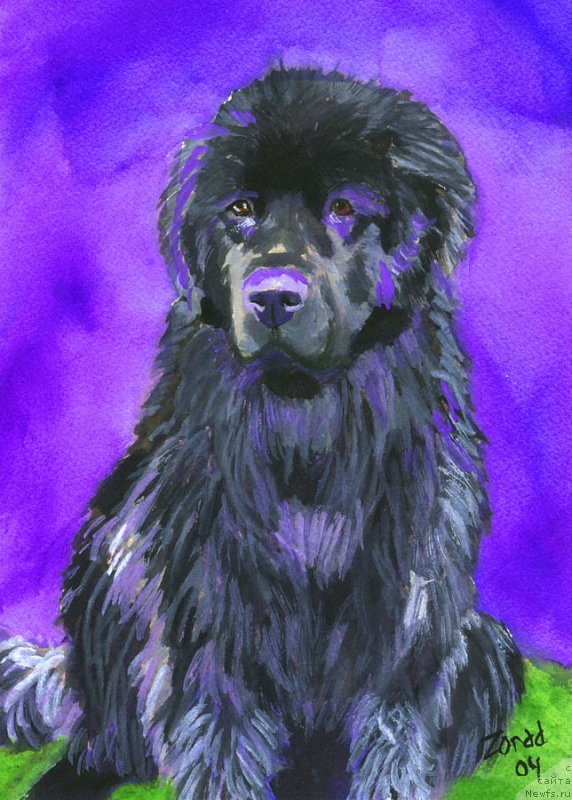 Фотография № 234749