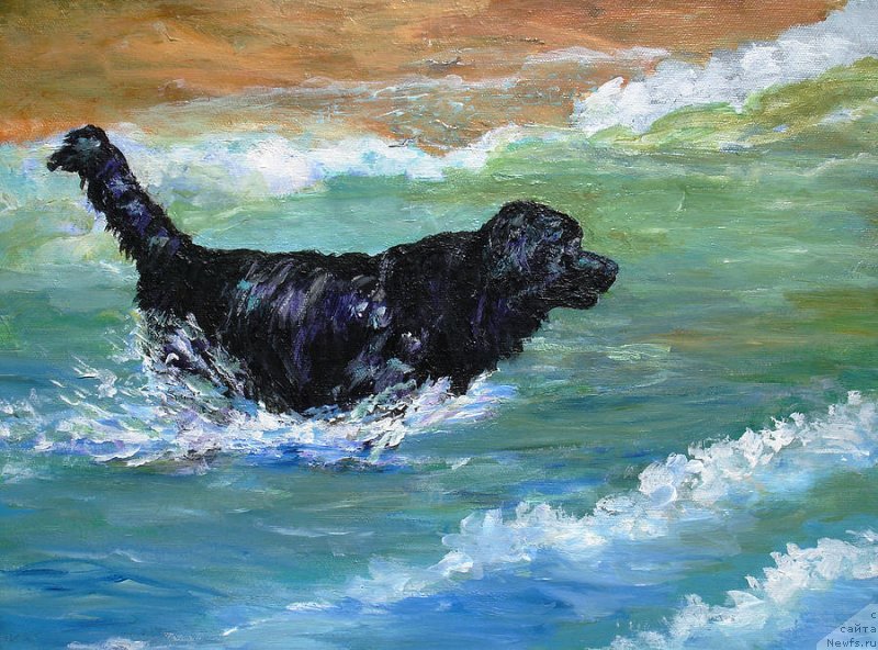 Фотография № 234750