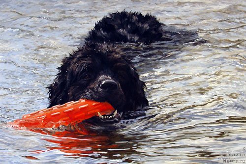 Фотография № 234751