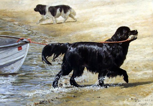 Фотография № 234756