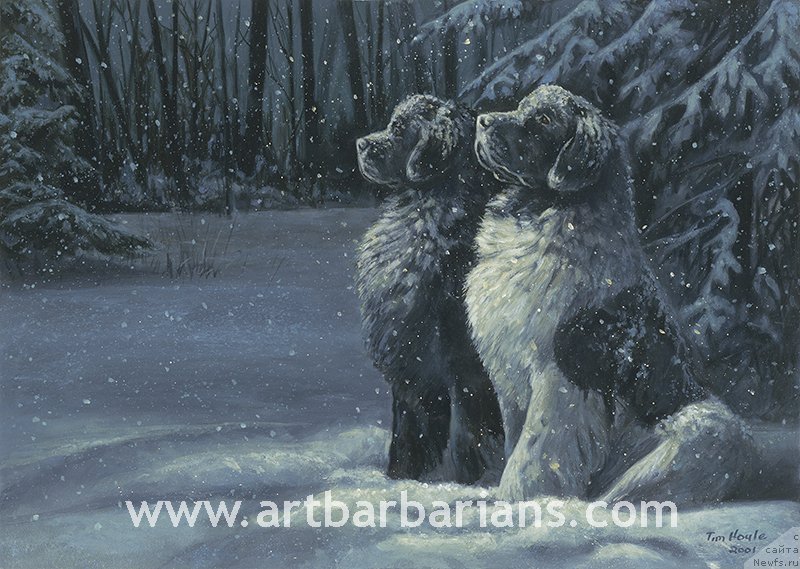 Фотография № 234757