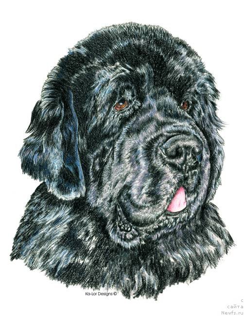 Фотография № 234758