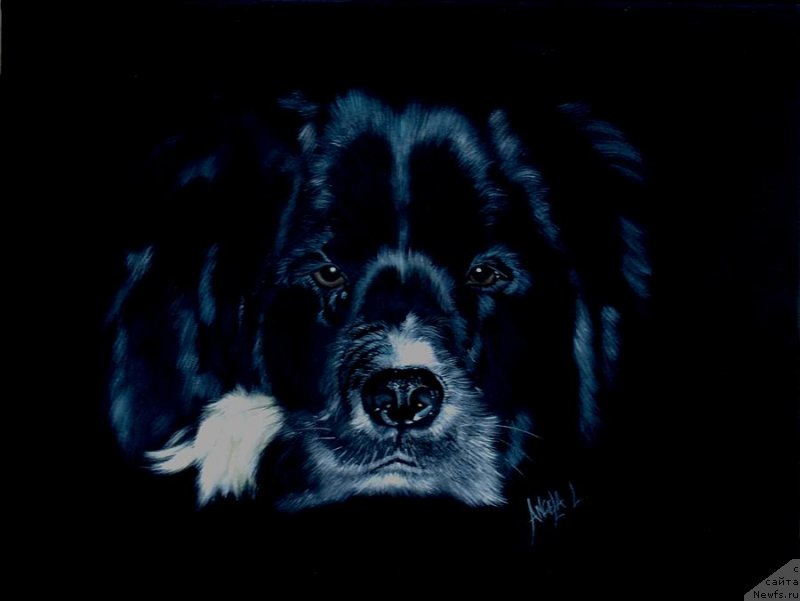 Фотография № 234763