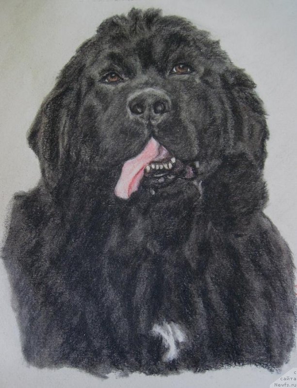 Фотография № 234765