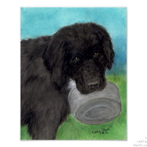 Фотография № 234766