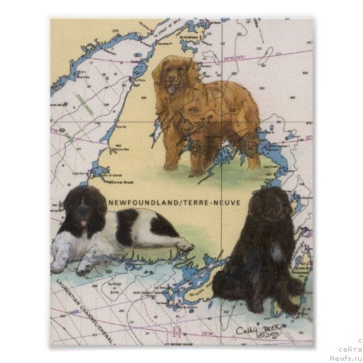 Фотография № 234769