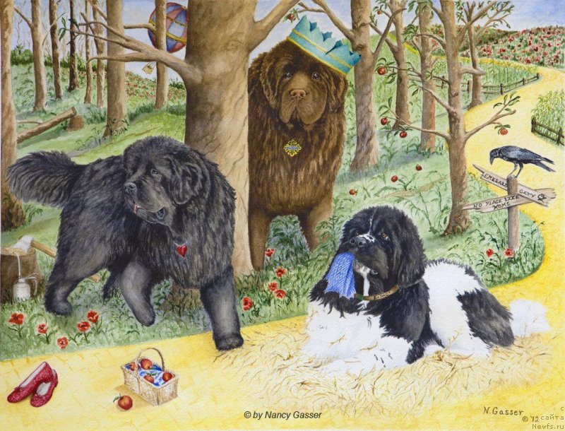 Фотография № 234778