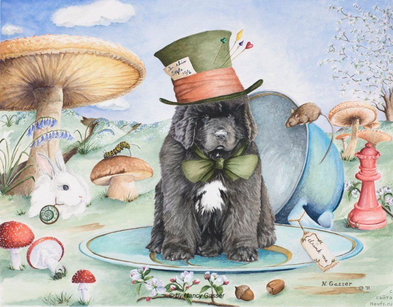 Фотография № 234779