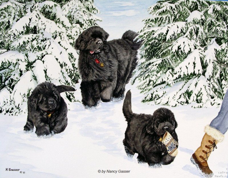 Фотография № 234781