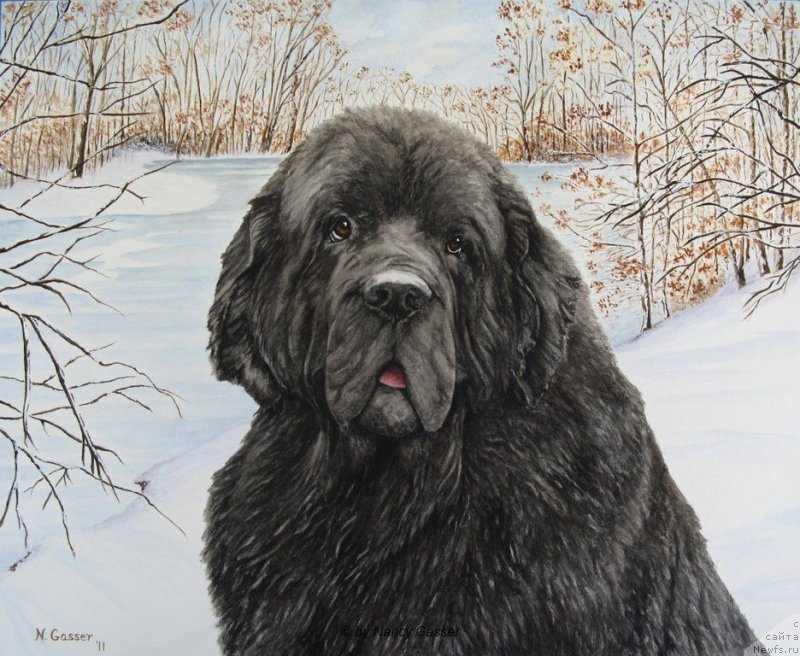 Фотография № 234782