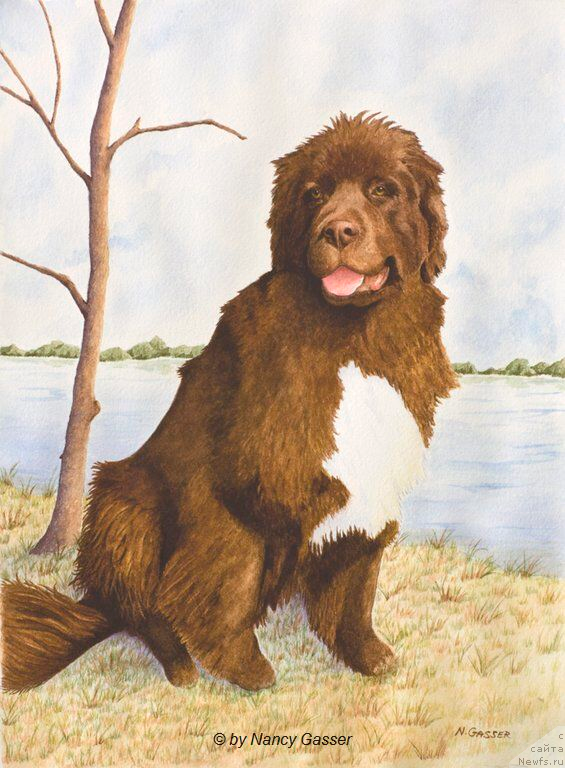 Фотография № 234783