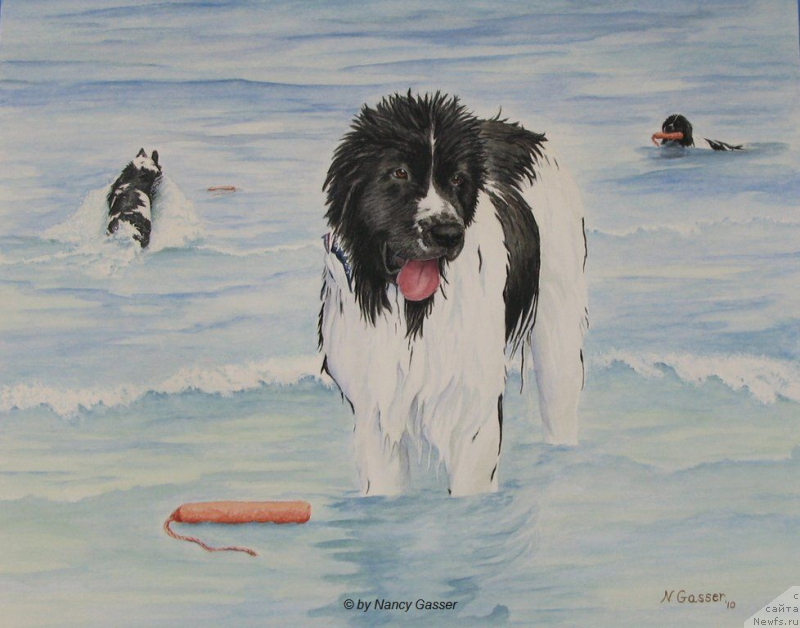 Фотография № 234788