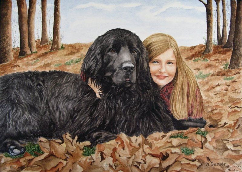 Фотография № 234789