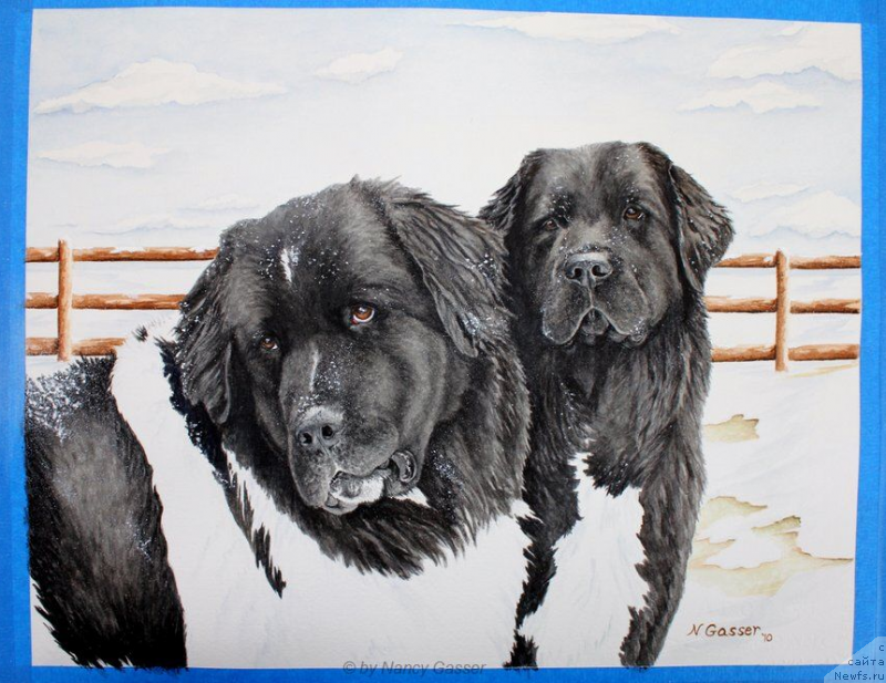 Фотография № 234790