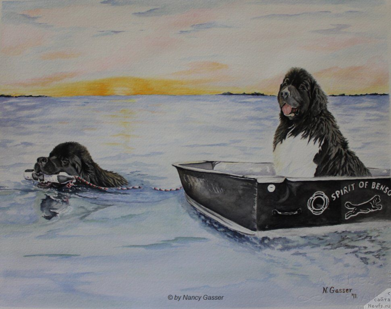 Фотография № 234792