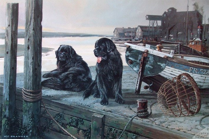 Фотография № 234796