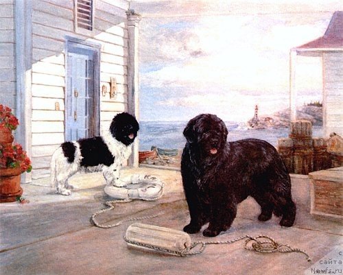 Фотография № 234800