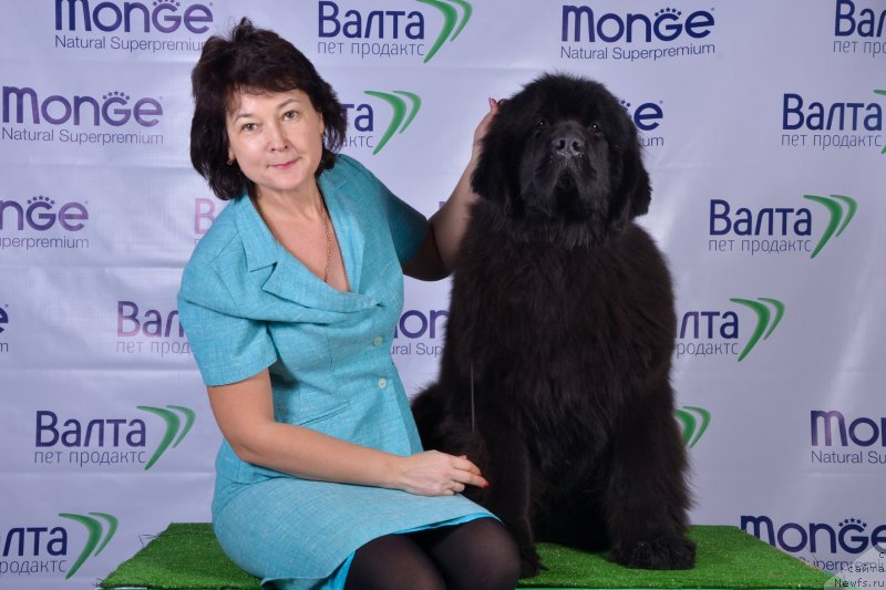 Фотография № 234802