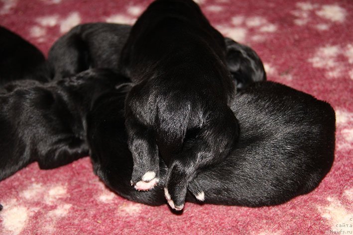 Фотография № 234807