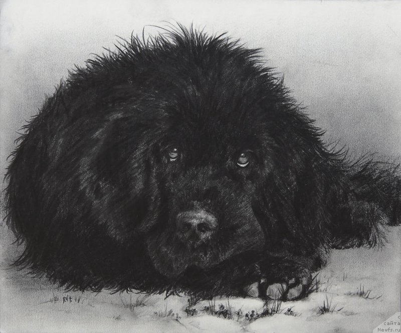 Фотография № 234821