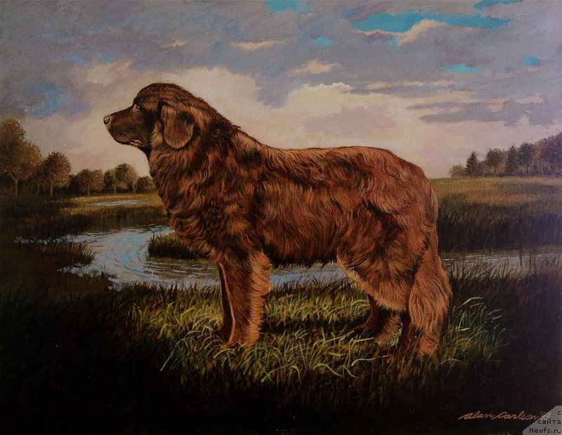 Фотография № 234822