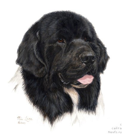 Фотография № 234843