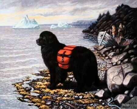 Фотография № 234844