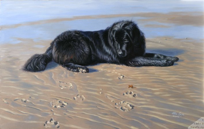 Фотография № 234845