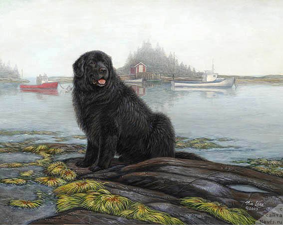 Фотография № 234846