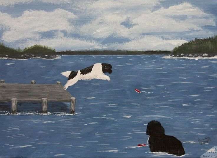 Фотография № 234850