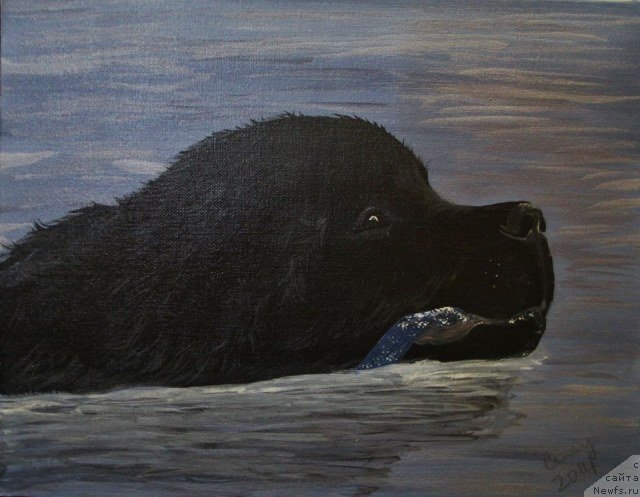 Фотография № 234856