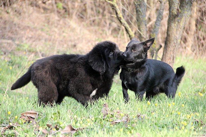 Фотография № 234857