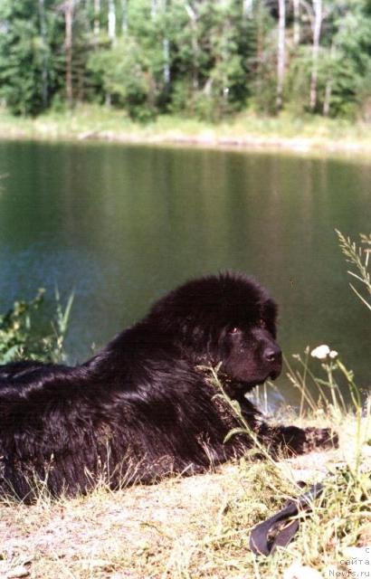 Фотография № 23486