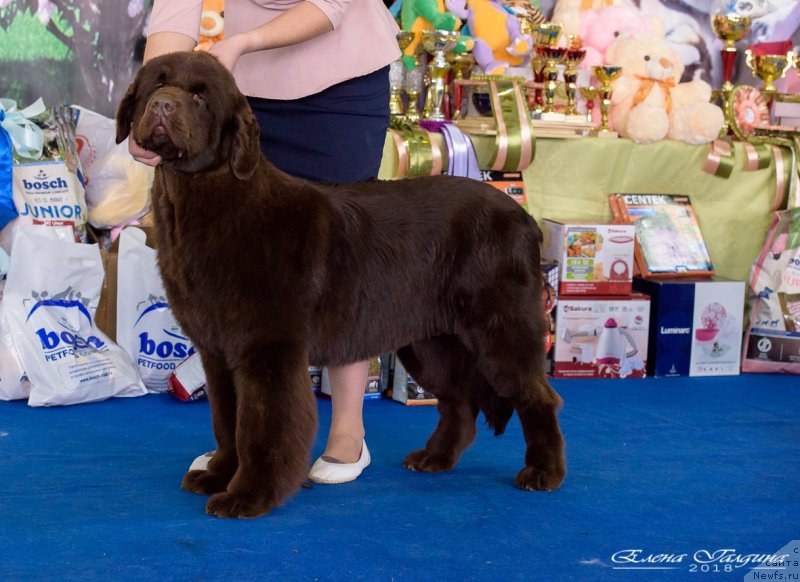 Фотография № 234861