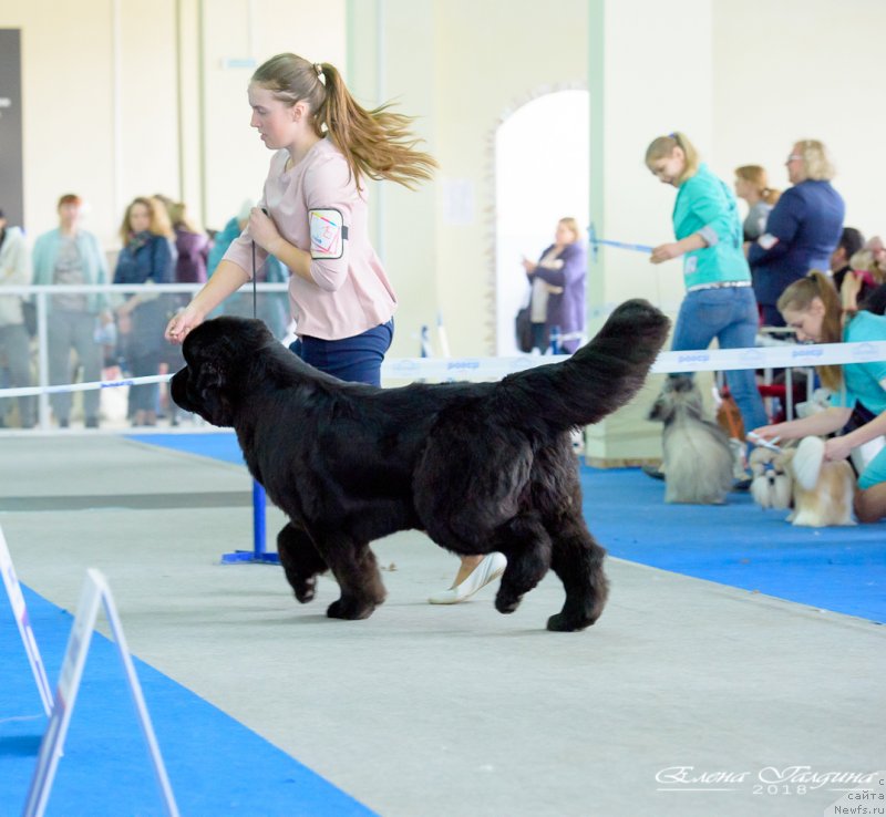 Фотография № 234864