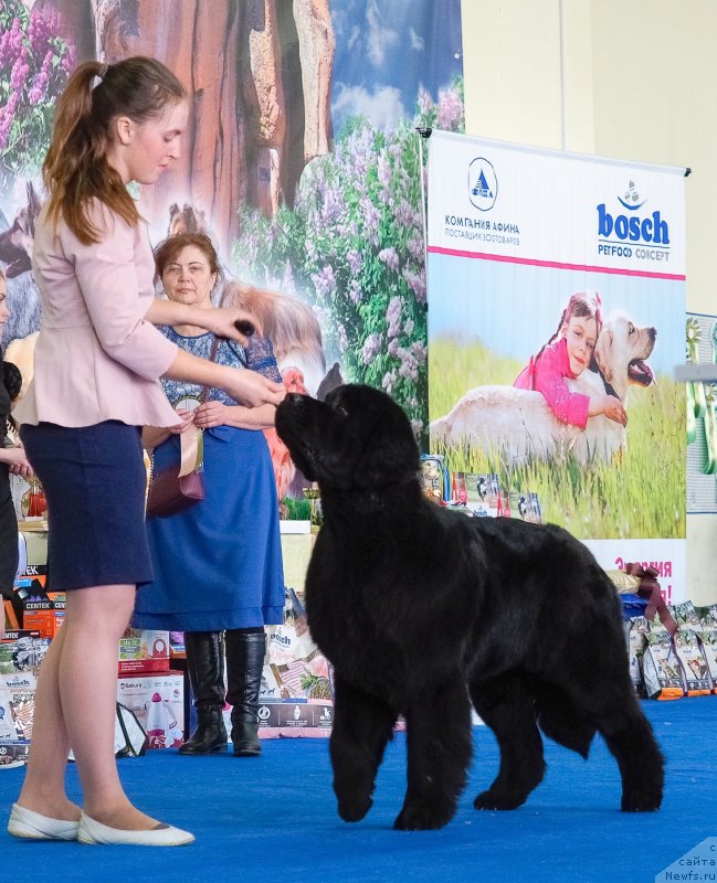 Фотография № 234866