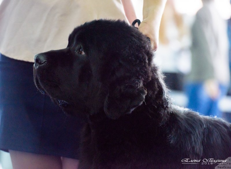 Фотография № 234869