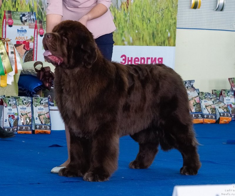 Фотография № 234872