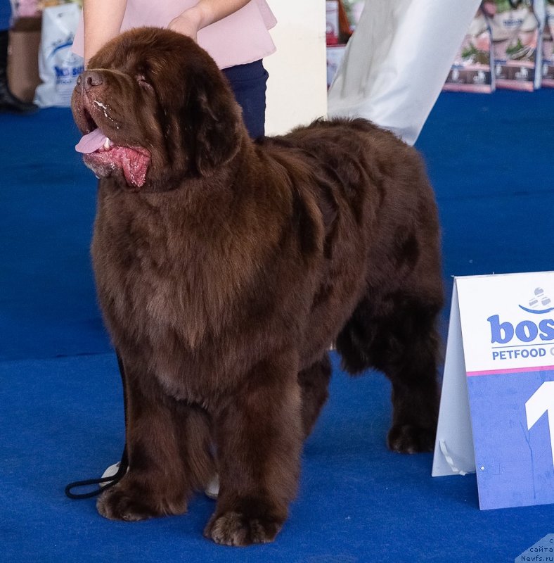 Фотография № 234873