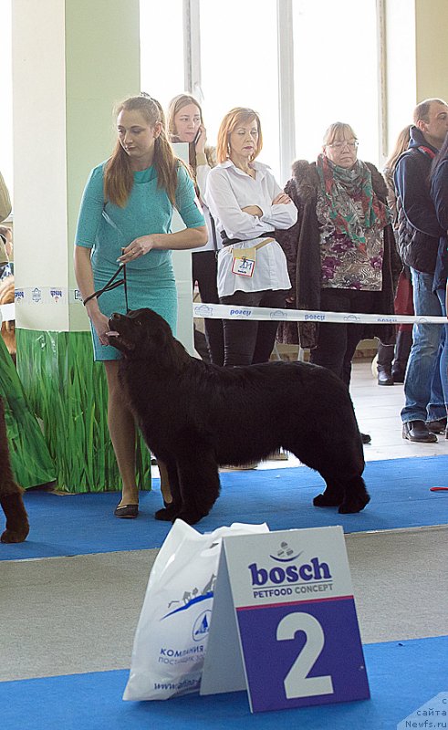 Фотография № 234877