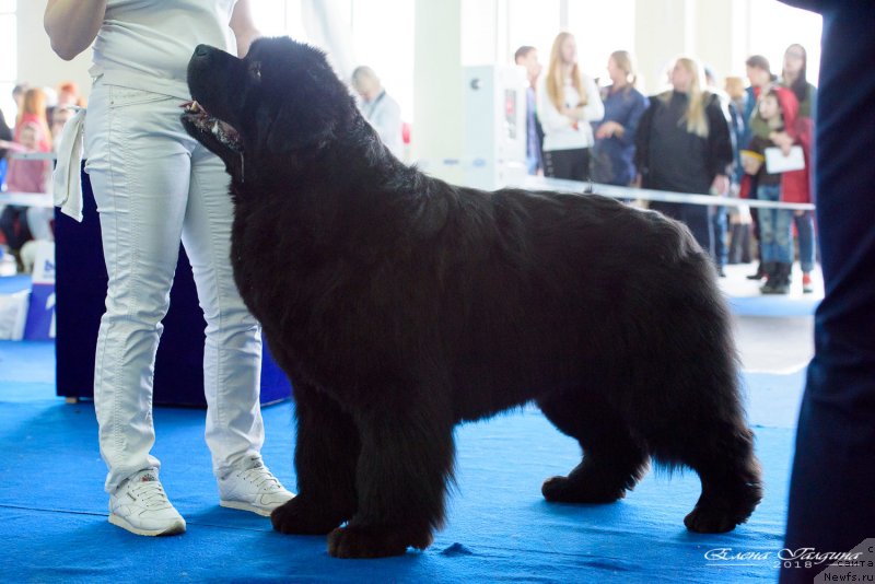 Фотография № 234878