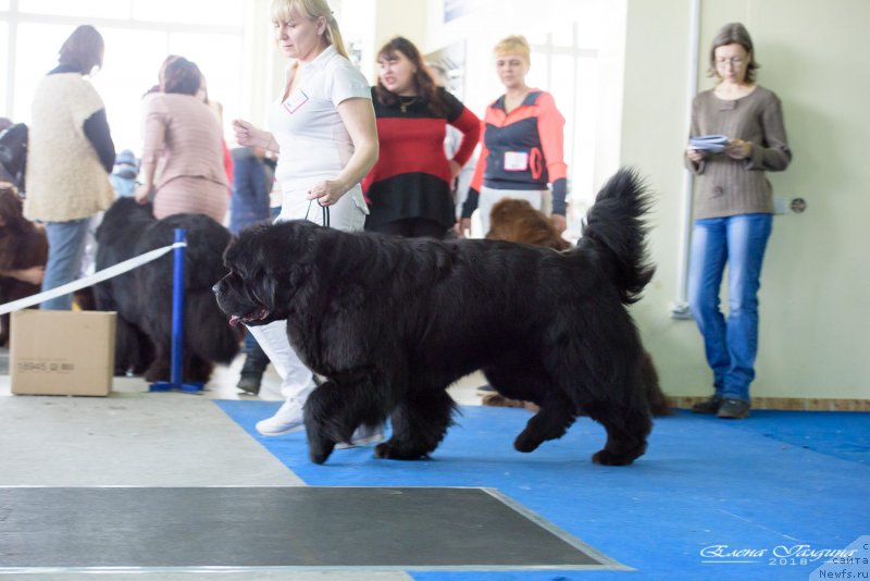 Фотография № 234880