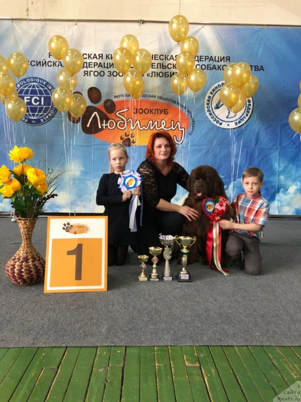 Фотография № 234903